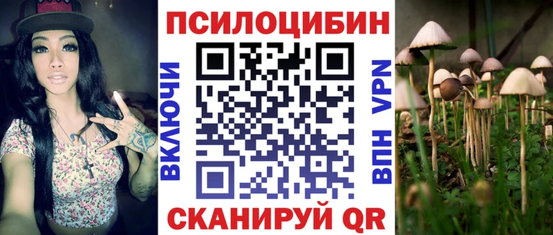 Галлюциногенные грибы GOLDEN TEACHER  ОМГ ОМГ как зайти  Чайковский 
